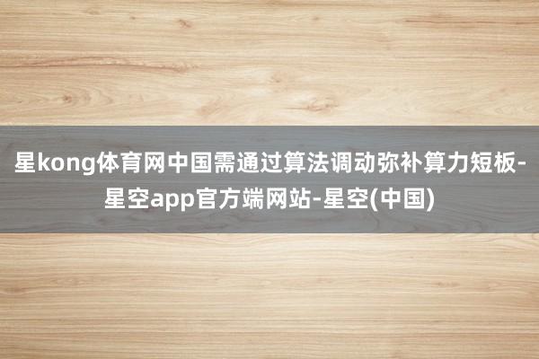 星kong体育网中国需通过算法调动弥补算力短板-星空app官方端网站-星空(中国)