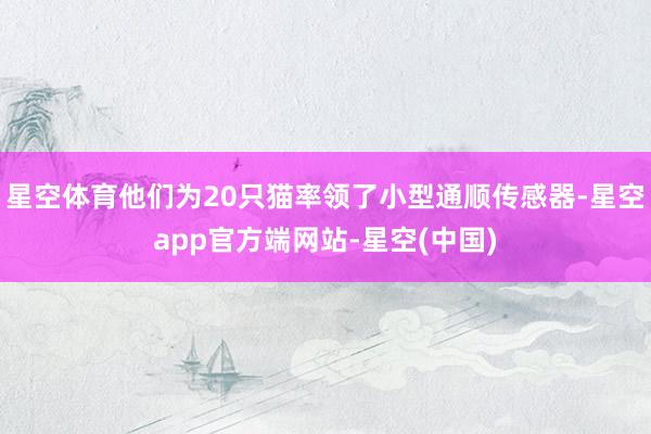星空体育他们为20只猫率领了小型通顺传感器-星空app官方端网站-星空(中国)
