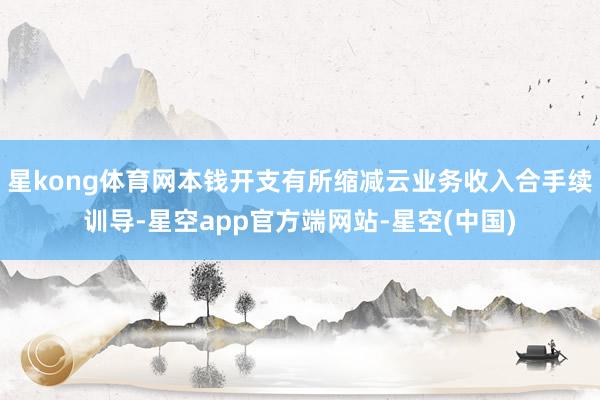 星kong体育网本钱开支有所缩减云业务收入合手续训导-星空app官方端网站-星空(中国)