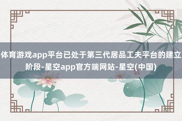 体育游戏app平台已处于第三代居品工夫平台的建立阶段-星空app官方端网站-星空(中国)
