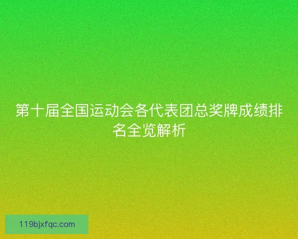 第十届全国运动会各代表团总奖牌成绩排名全览解析