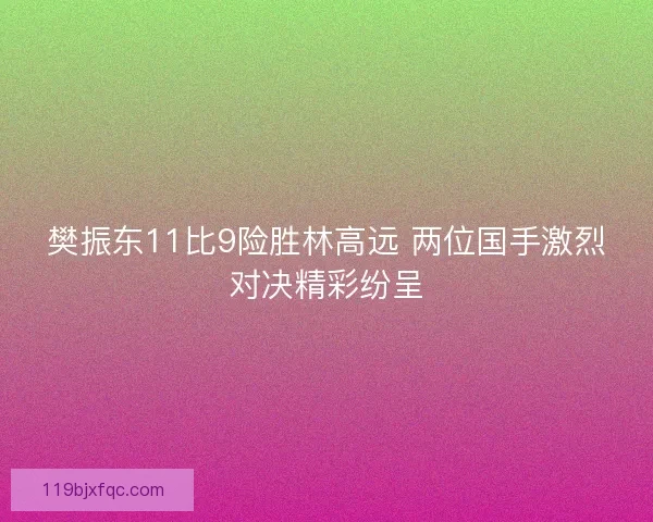 樊振东11比9险胜林高远 两位国手激烈对决精彩纷呈