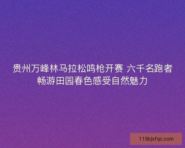 贵州万峰林马拉松鸣枪开赛 六千名跑者畅游田园春色感受自然魅力
