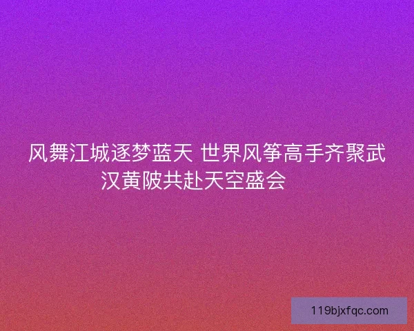 风舞江城逐梦蓝天 世界风筝高手齐聚武汉黄陂共赴天空盛会 🎏